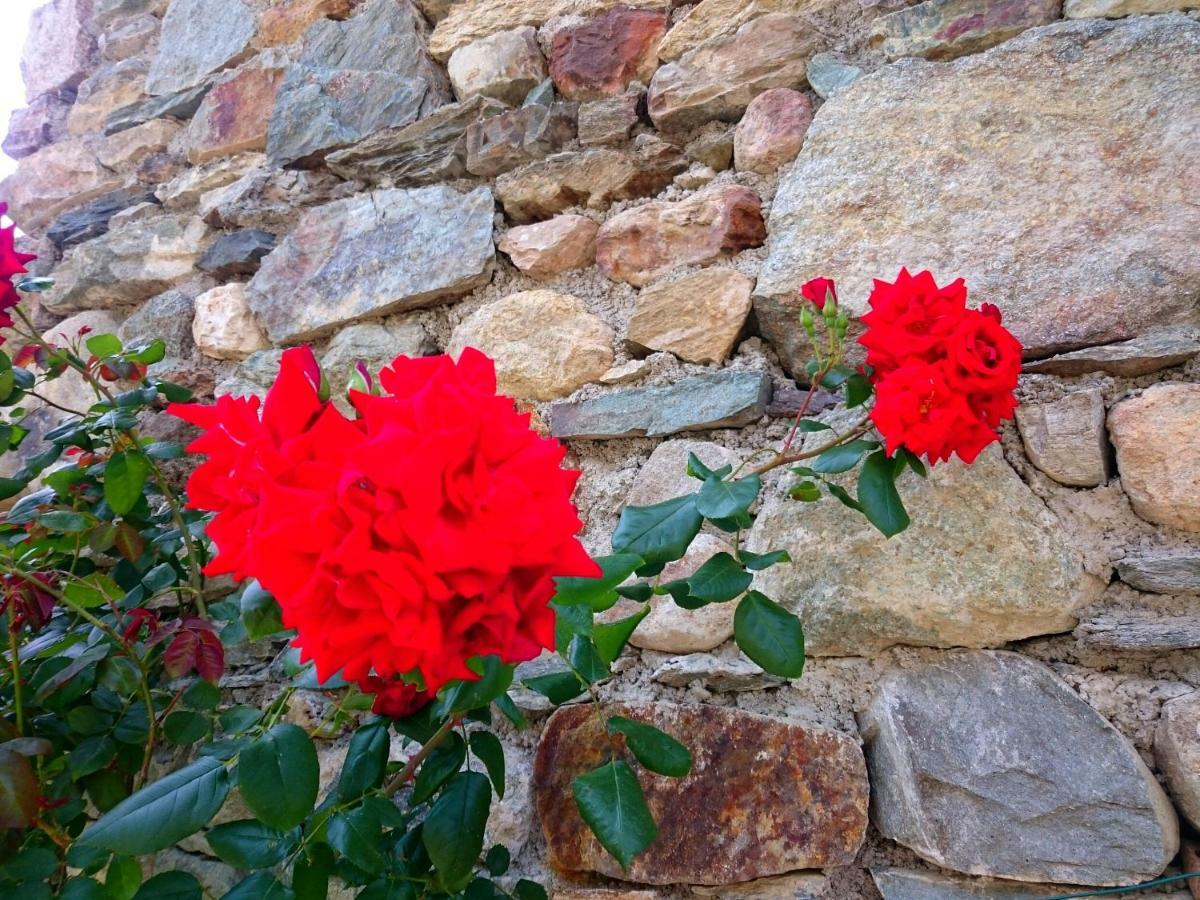 Вилла Casa Delle Rose Тельо Экстерьер фото